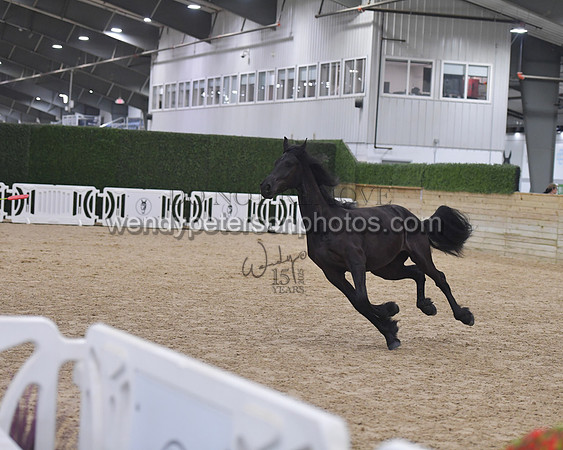 026_7073-Do_not_copy_PROOF