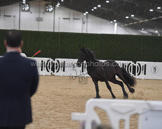 026_7077-Do_not_copy_PROOF