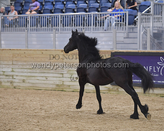 026_7084-Do_not_copy_PROOF