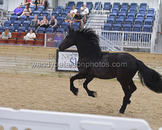 026_7083-Do_not_copy_PROOF