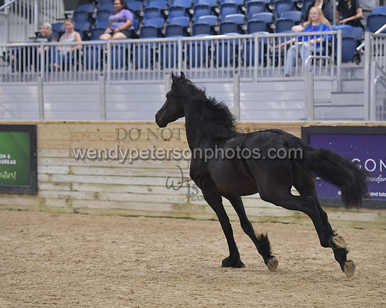026_7085-Do_not_copy_PROOF