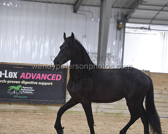 026_7095-Do_not_copy_PROOF