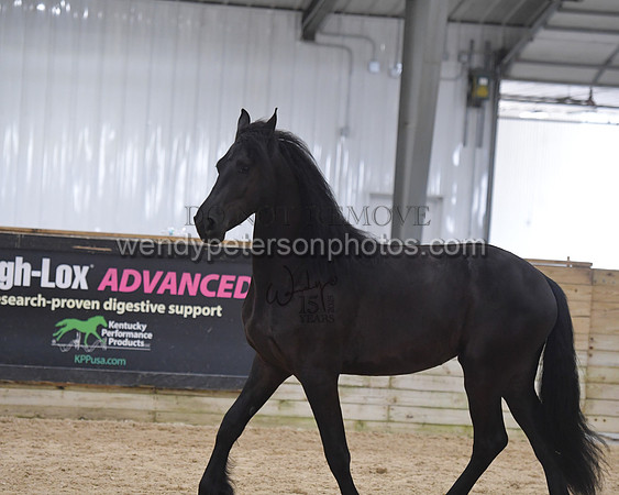 026_7096-Do_not_copy_PROOF