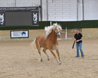 027 Liberty 2-5 Mares