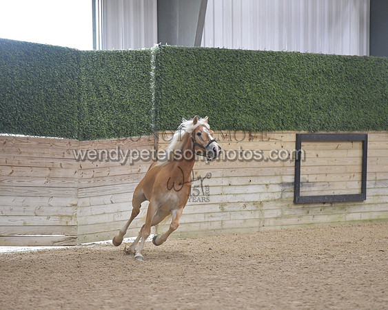 027_7133-Do_not_copy_PROOF