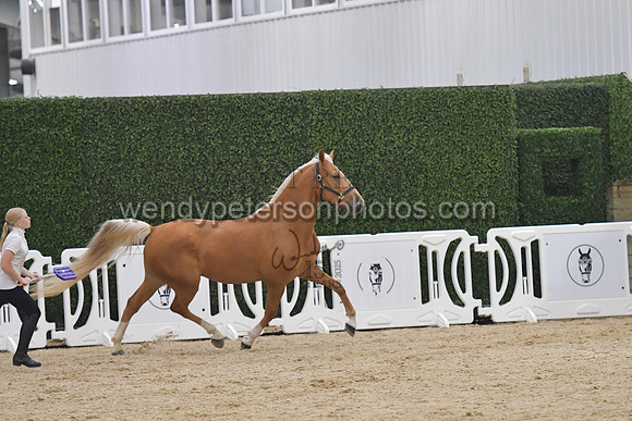 028_7214-Do_not_copy_PROOF