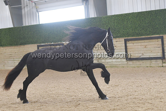 028_7253-Do_not_copy_PROOF