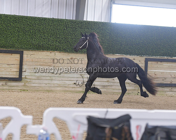 028_7267-Do_not_copy_PROOF