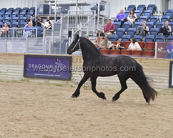 028_7298-Do_not_copy_PROOF