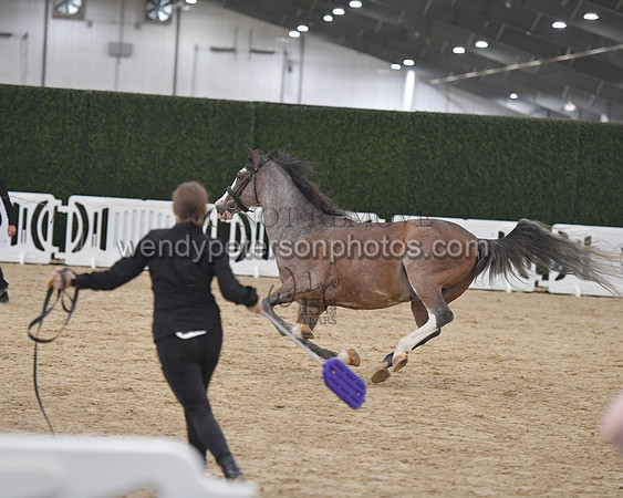 031_7594-Do_not_copy_PROOF
