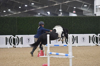 034 Pony & VSE Youth 12+
