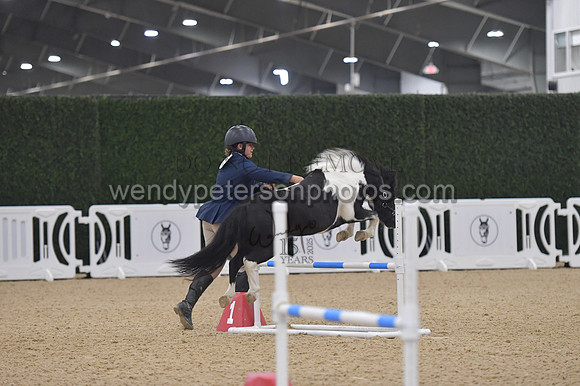 033_7933-Do_not_copy_PROOF