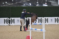 035 Pony & VSE Open
