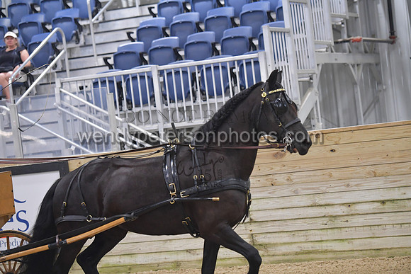 038_8073-Do_not_copy_PROOF