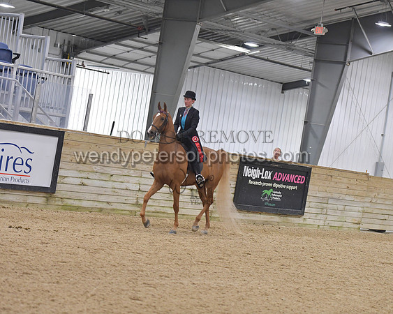 041_8213-Do_not_copy_PROOF