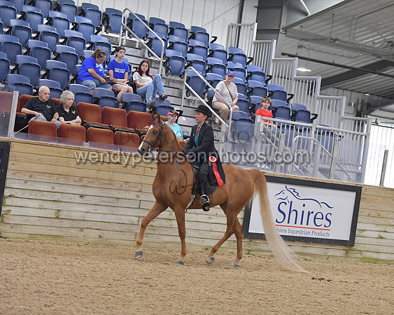 041_8214-Do_not_copy_PROOF