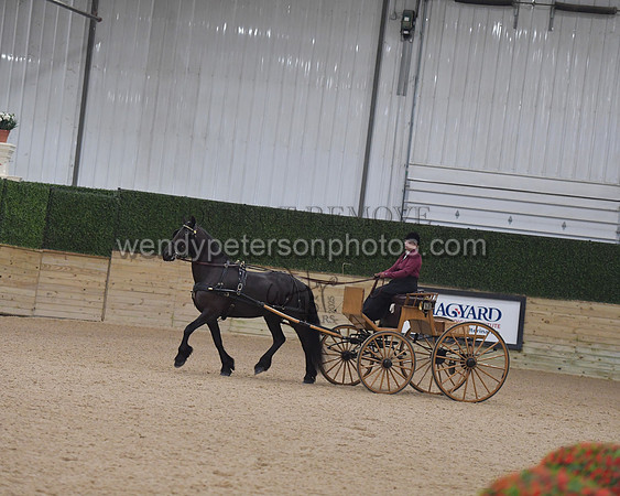 042_8221-Do_not_copy_PROOF