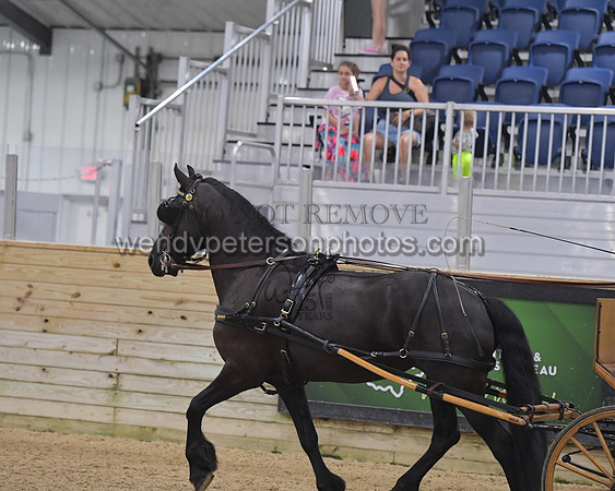 042_8225-Do_not_copy_PROOF