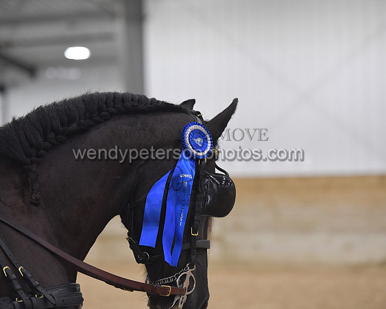 042_8243-Do_not_copy_PROOF