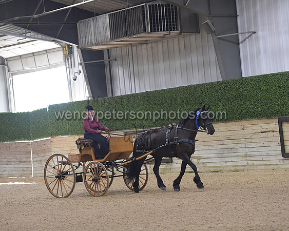 042_8247-Do_not_copy_PROOF