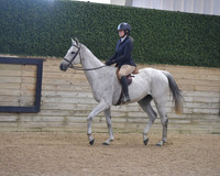 044 Thoroughbred HUS WT 15+