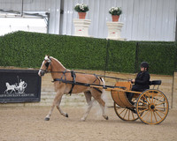 045.1 Carriage Pleasure Driving Turnout