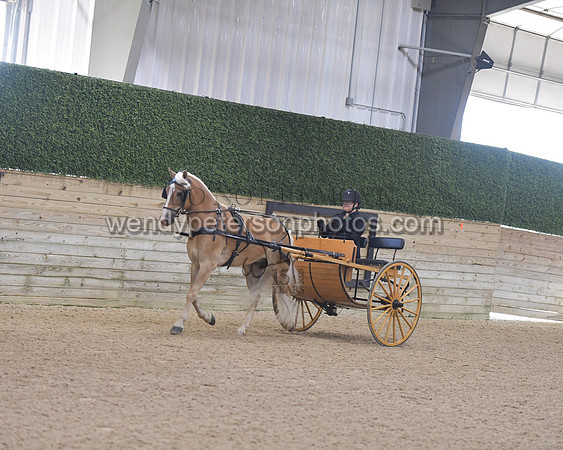 045_8296-Do_not_copy_PROOF