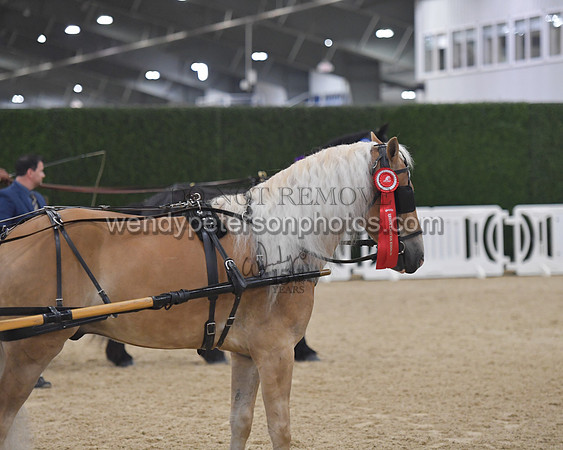 045_8320-Do_not_copy_PROOF