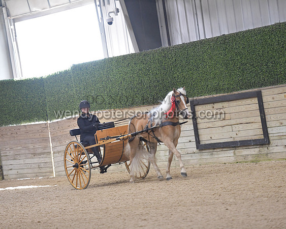 045_8330-Do_not_copy_PROOF