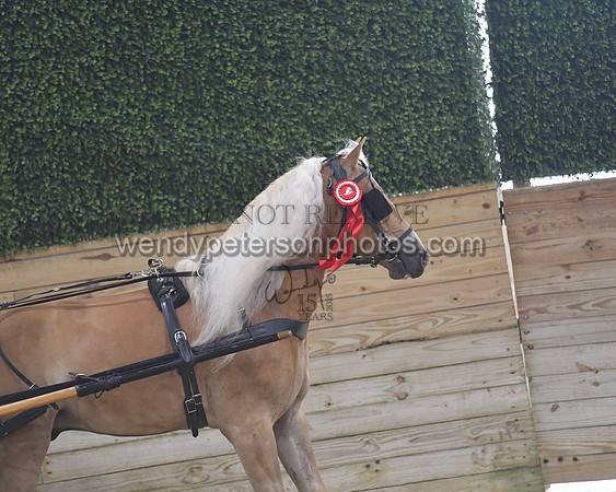 045_8334-Do_not_copy_PROOF