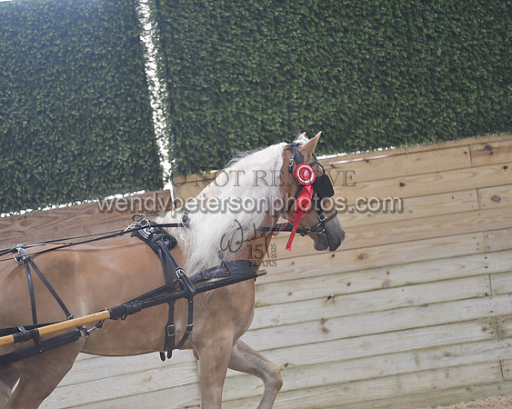 045_8335-Do_not_copy_PROOF