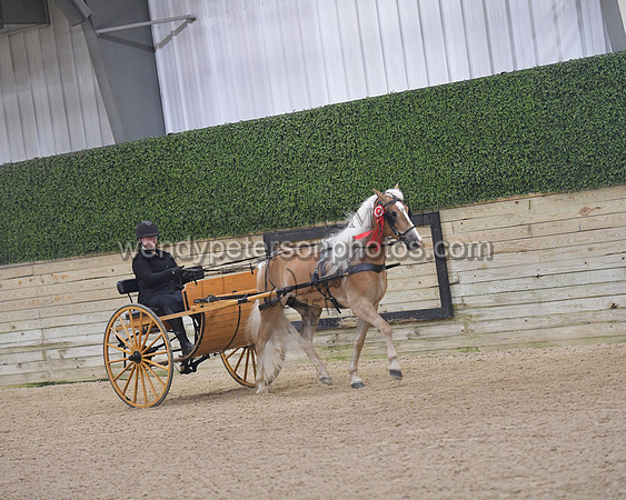045_8332-Do_not_copy_PROOF