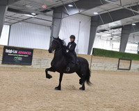 049 Saddle Seat Pleasure WT 14U