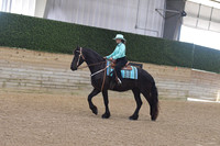 052 Friesian WT Western Pleasure Amateur