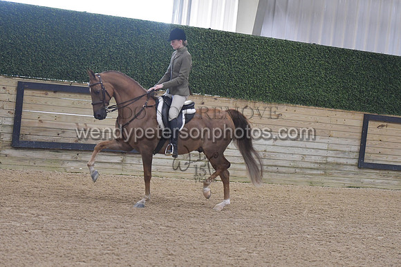 053_8462-Do_not_copy_PROOF