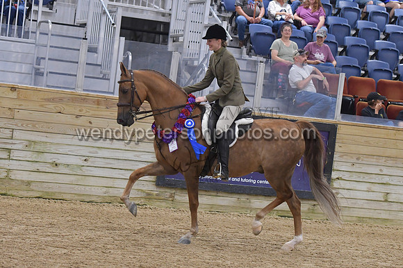 053_8477-Do_not_copy_PROOF