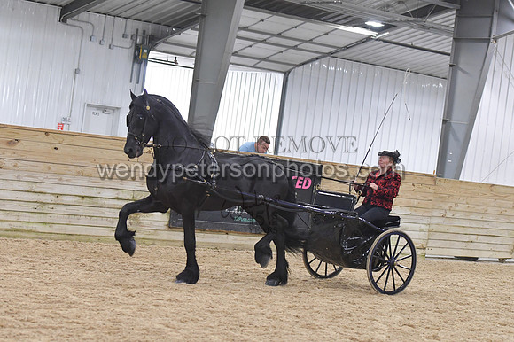 053_8518-Do_not_copy_PROOF