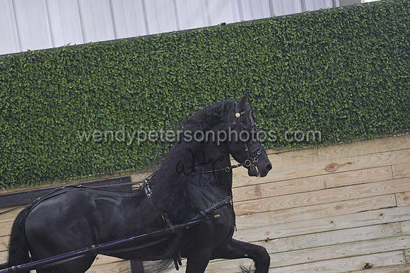 053_8524-Do_not_copy_PROOF