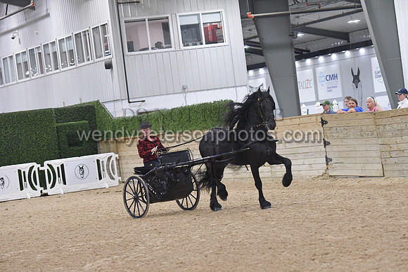 053_8532-Do_not_copy_PROOF