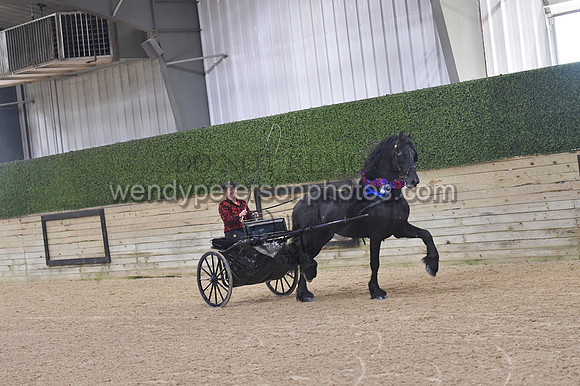 053_8542-Do_not_copy_PROOF