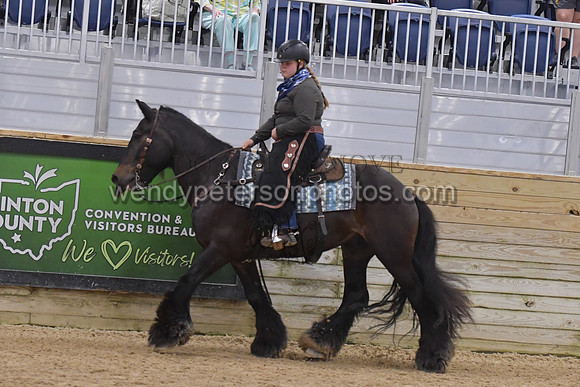 056_8608-Do_not_copy_PROOF