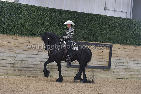 058_8650-Do_not_copy_PROOF