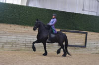 058 Jackpot Reg Friesian WTC All Seat