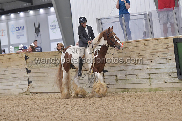 059_8795-Do_not_copy_PROOF