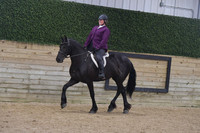 074 Part Bred Friesian WT Pleasure Hunter