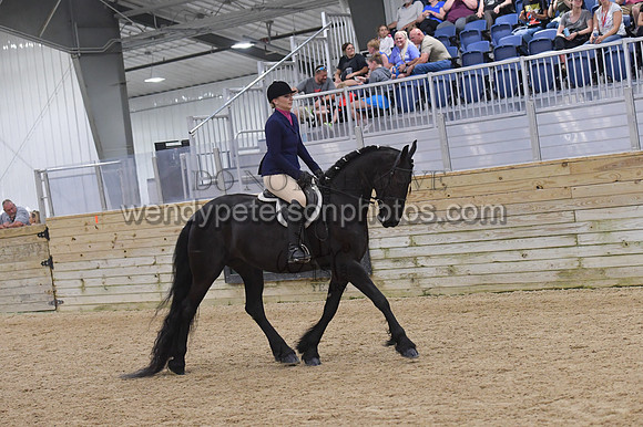 074_9181-Do_not_copy_PROOF