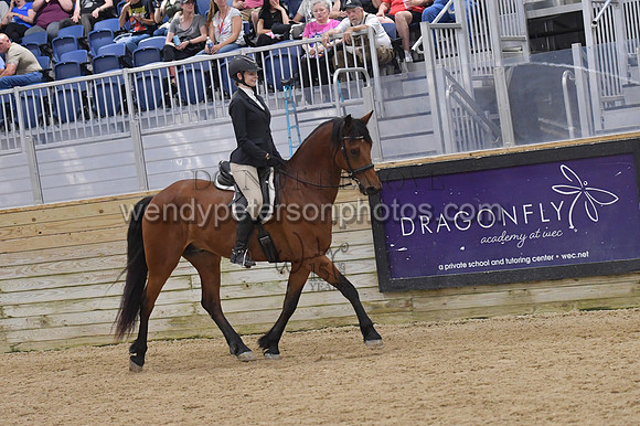 074_9184-Do_not_copy_PROOF