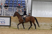 075 Thoroughbred HSUS WT 14U