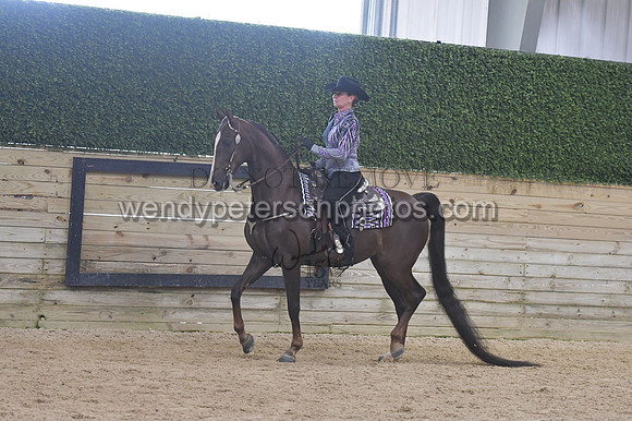 076_9220-Do_not_copy_PROOF