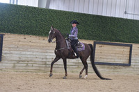 076 ASB Western Pleasure Open